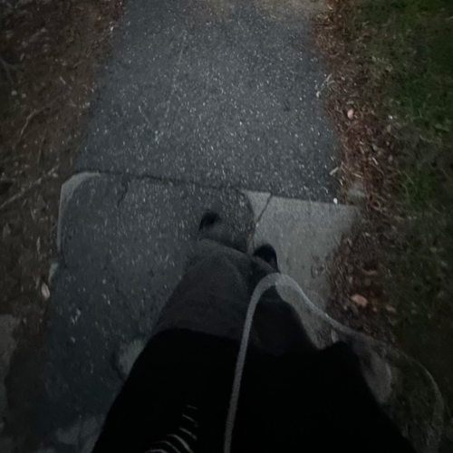 benryan — oneday cover